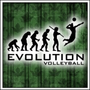 Tielko Evolution Volleyball